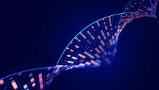 Human genome analysis DNA molecular structure