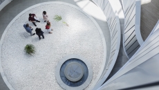 Executives consulting